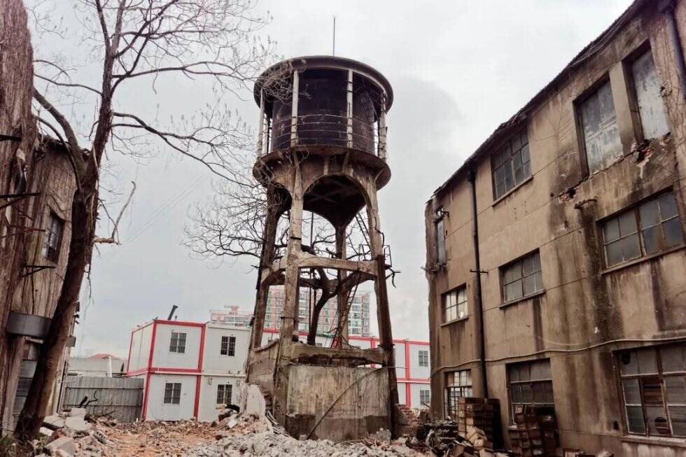 1773305344341634.jpg 859a866d-f116-4940-aa37-9cd9b1158ddb.jpg